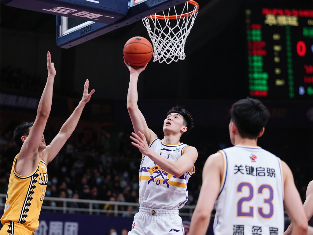 以及其他豪 以及其他豪